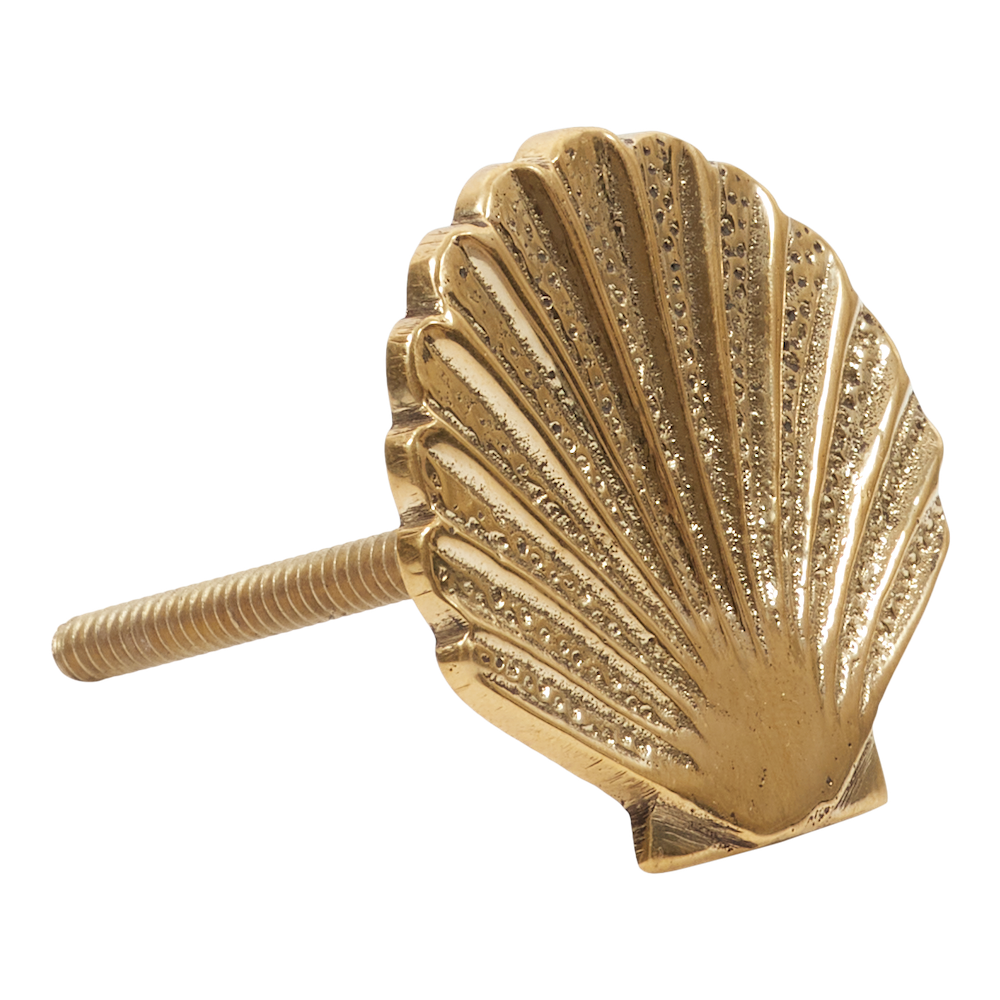 Brass Shell Knob