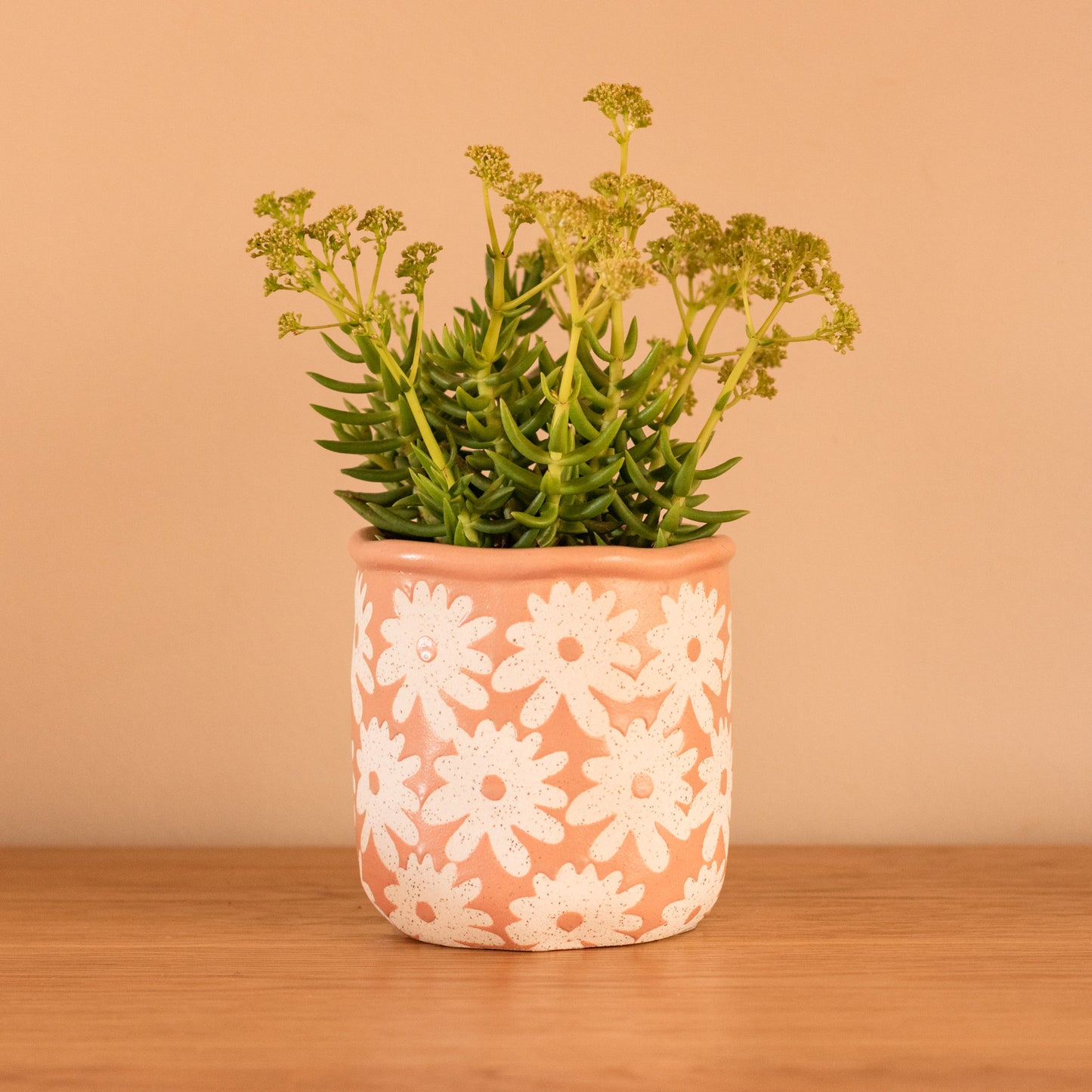 Claudia Ceramic Pot