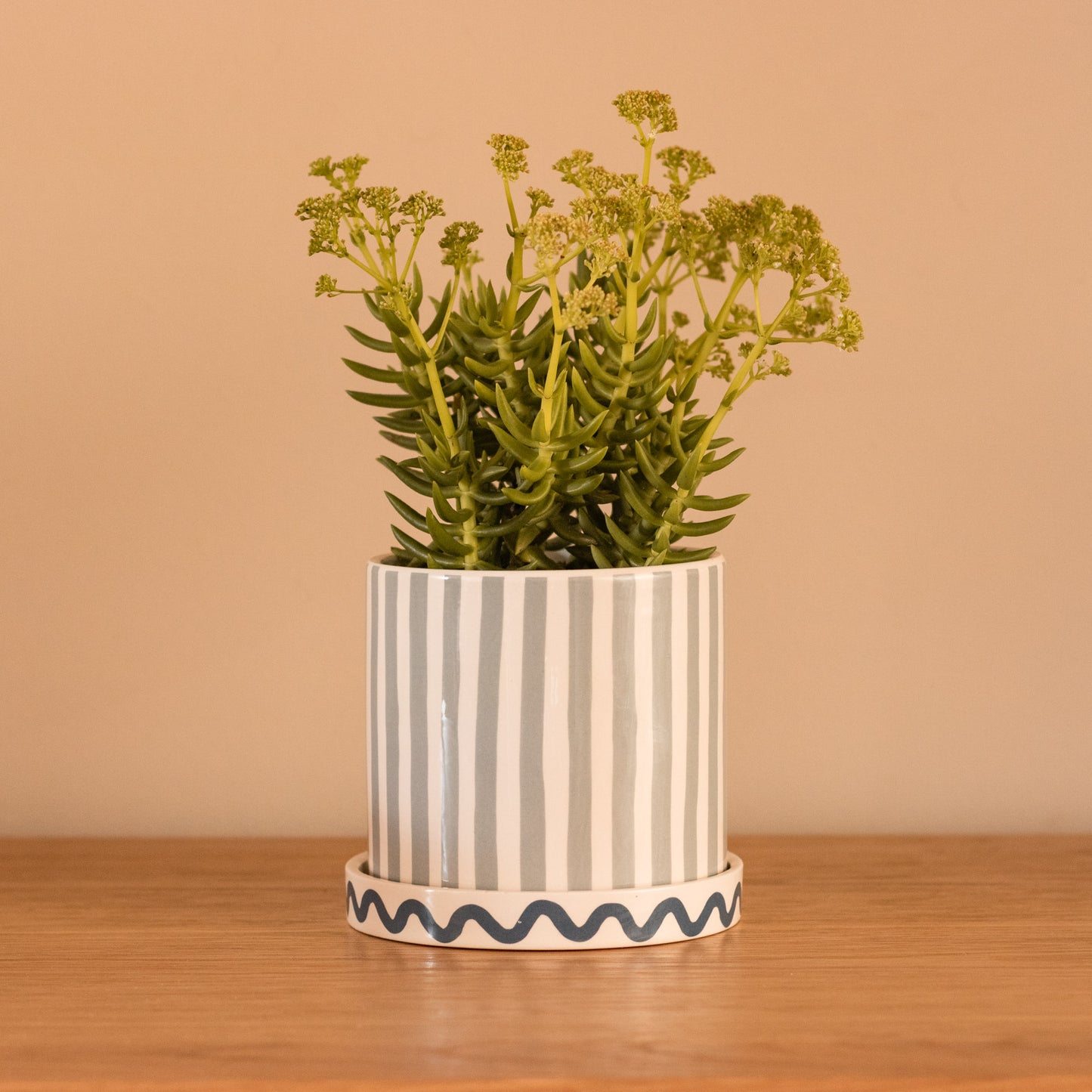 Sunny Wave Planter