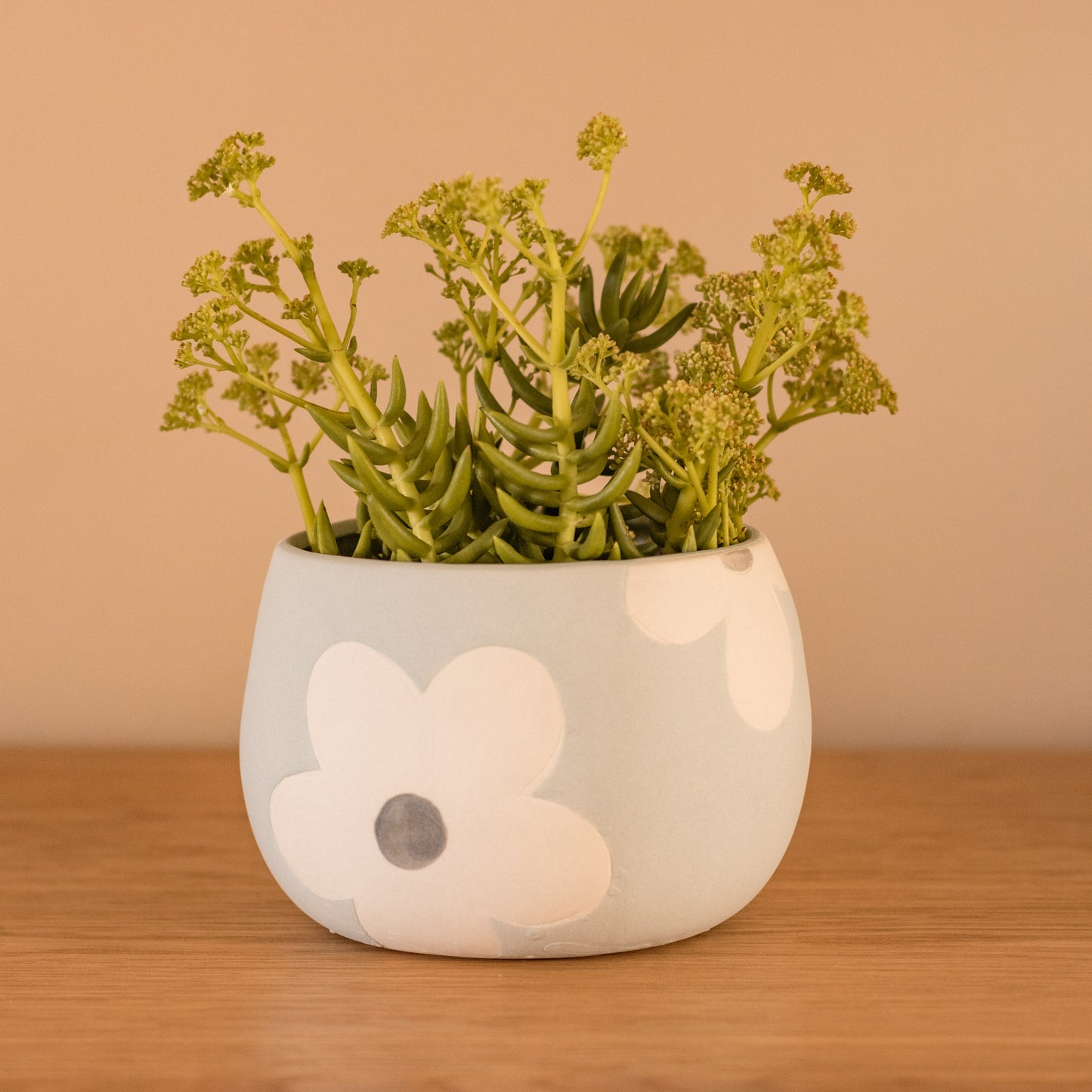 Dilly Ceramic Pot