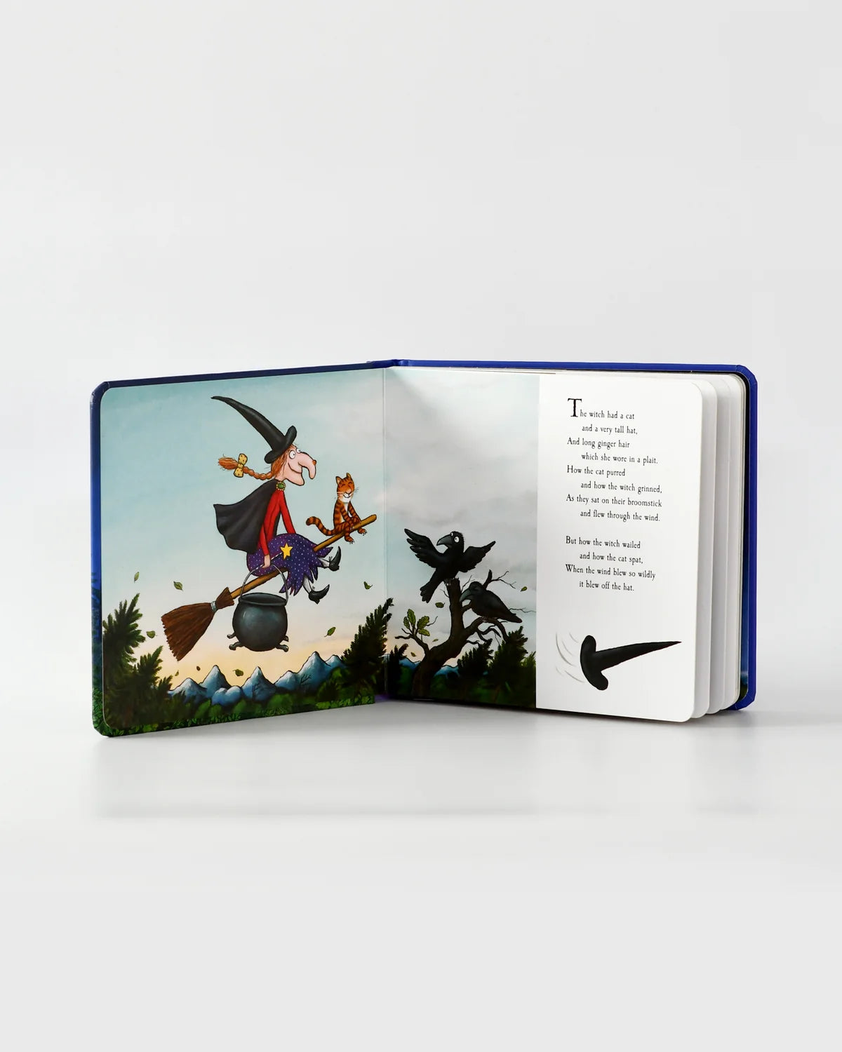 Room on the Broom Book