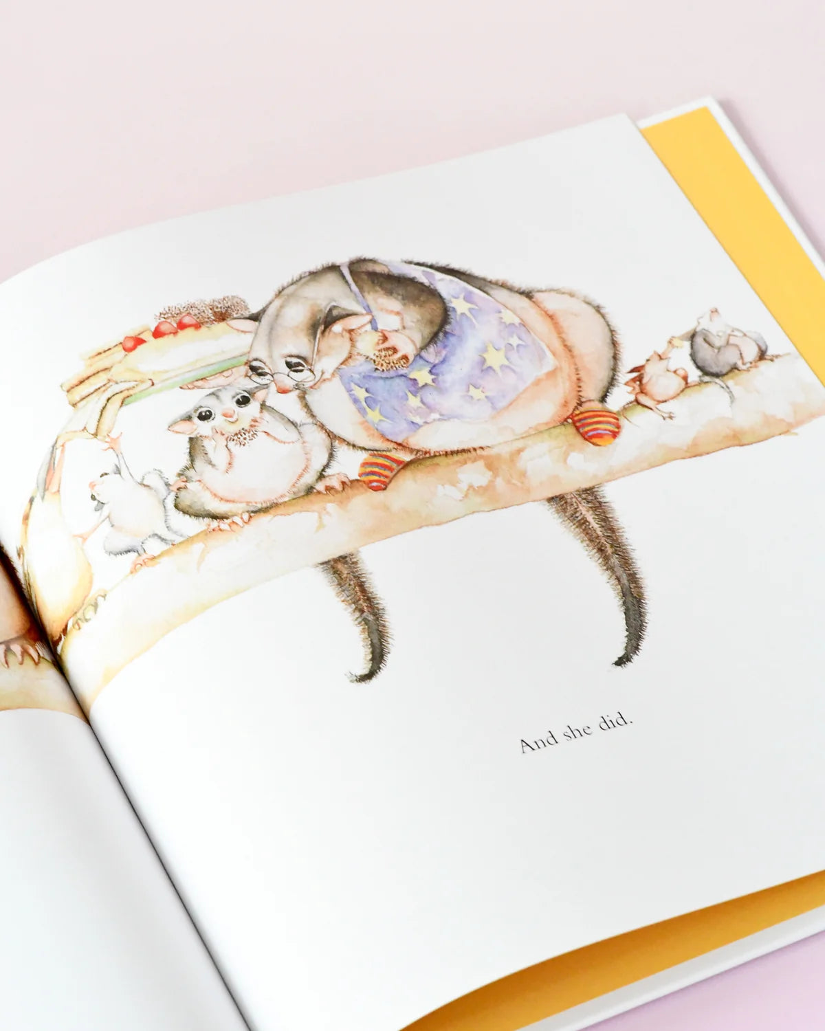 Possum Magic Book
